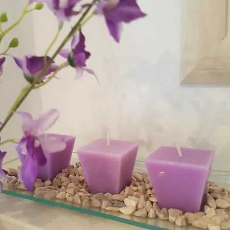 Πανσιόν Ivana With Private Bathroom - Center Of Σπλιτ