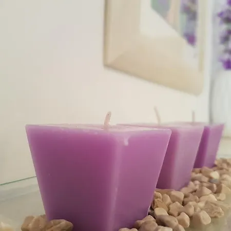 Ivana With Private Bathroom - Center Of Πανσιόν 3*