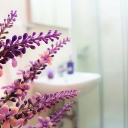 Ivana With Private Bathroom - Center Of Πανσιόν